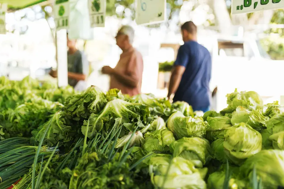 Serving the Clarendon Hills, Massachusetts Community — Clarendon Hills, MA