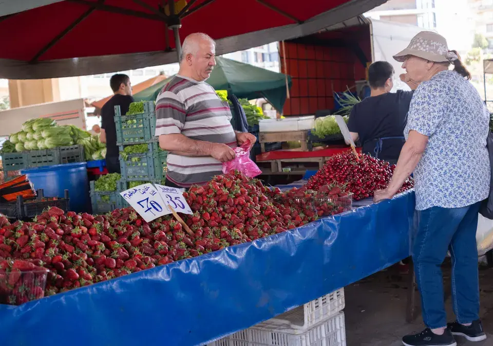 Navigating Clarendon Hills and Beyond in Clarendon Hills